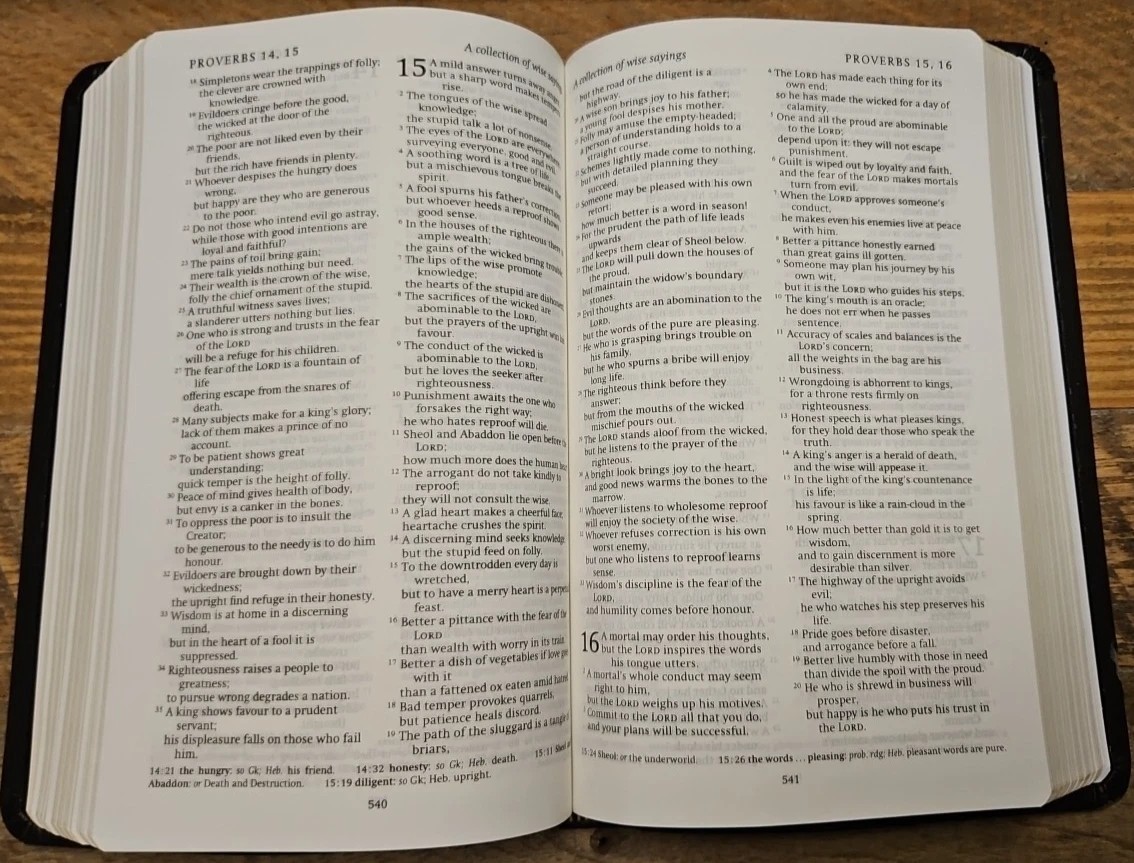 REB Revised English Bible Standard Text Edition Gray Leather RE532:T Cambridge