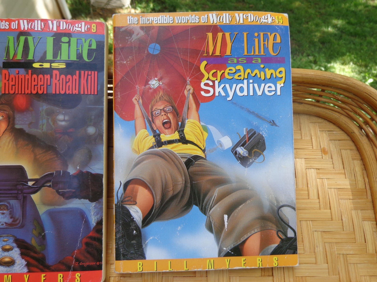 Wally McDoogle My Life As A BP Book Lot 5 by Bill Myers Skydiver Torpedo Hockey