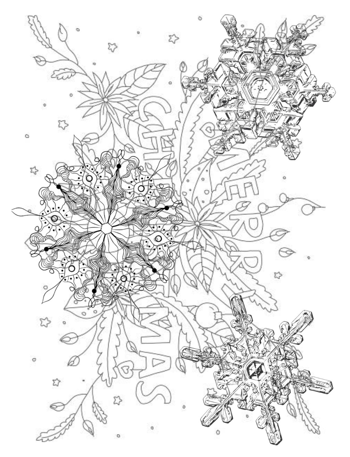 SnowFlakes are Falling Coloring Book All Ages 108 Pages 8.5 x 11 for All Ages