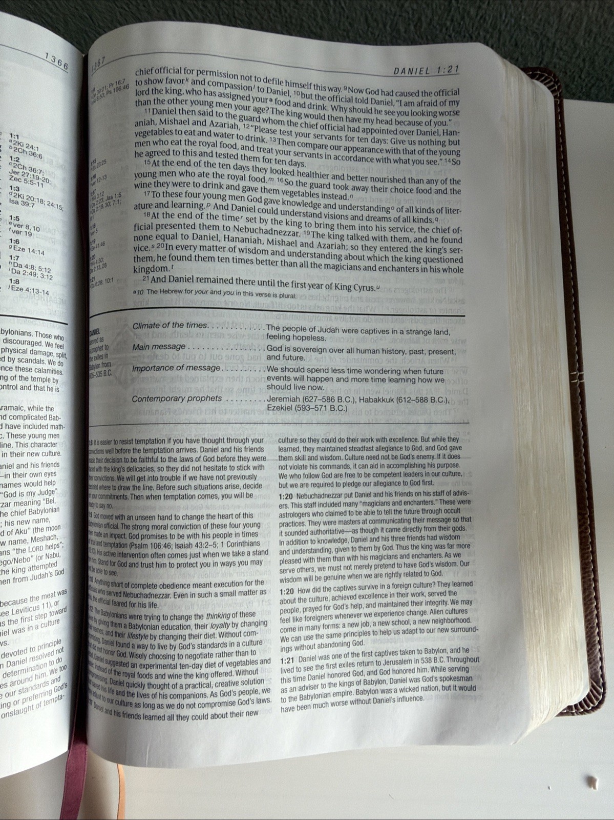 Life Application Study Bible NIV Large Print 2011 Italian Duo Tone Leather