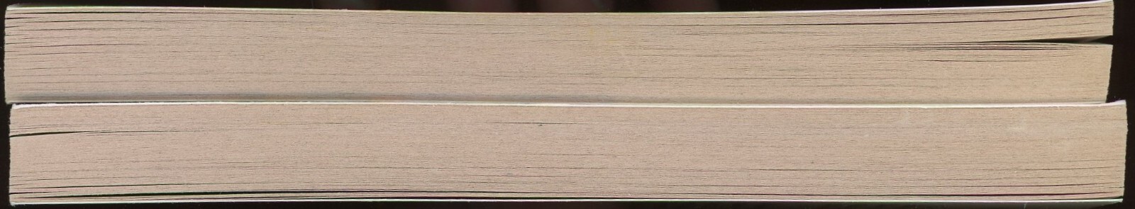 The Gunsmith Western Action Lot of 2 Paperback by JR Roberts