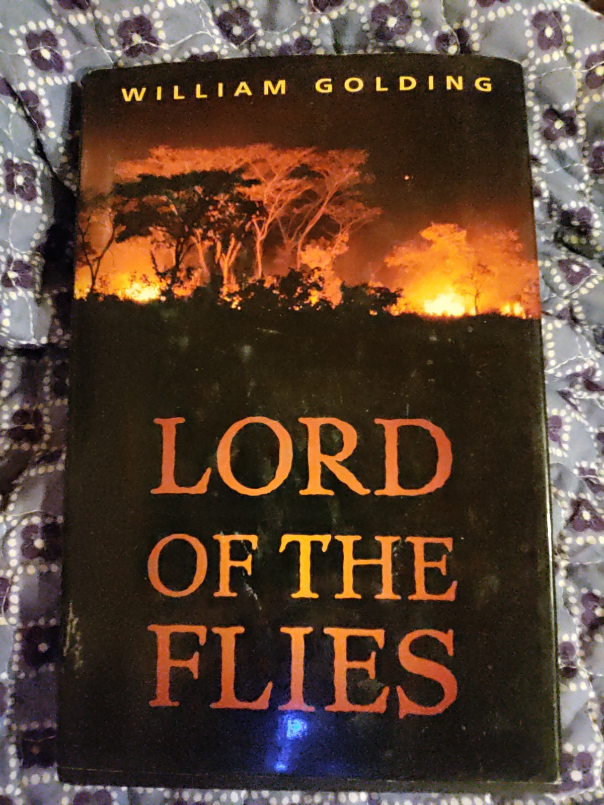 🔥Lord of the Flies by William Golding HB/DJ🔥