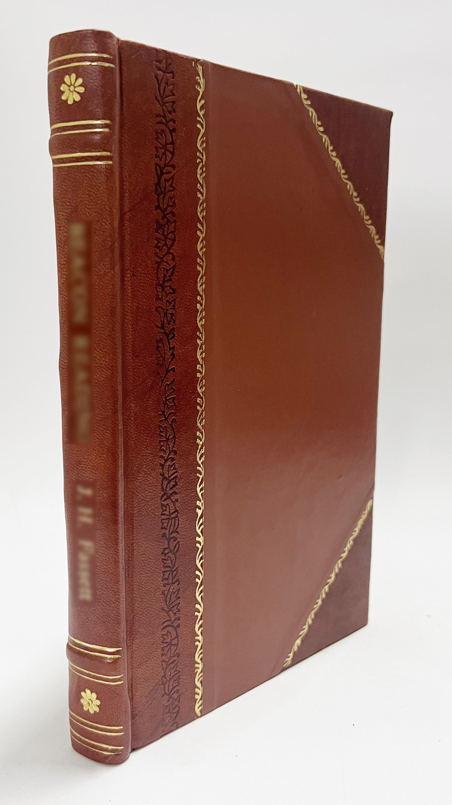 Where the Marines Fought in France (1919) [Leather Bound]