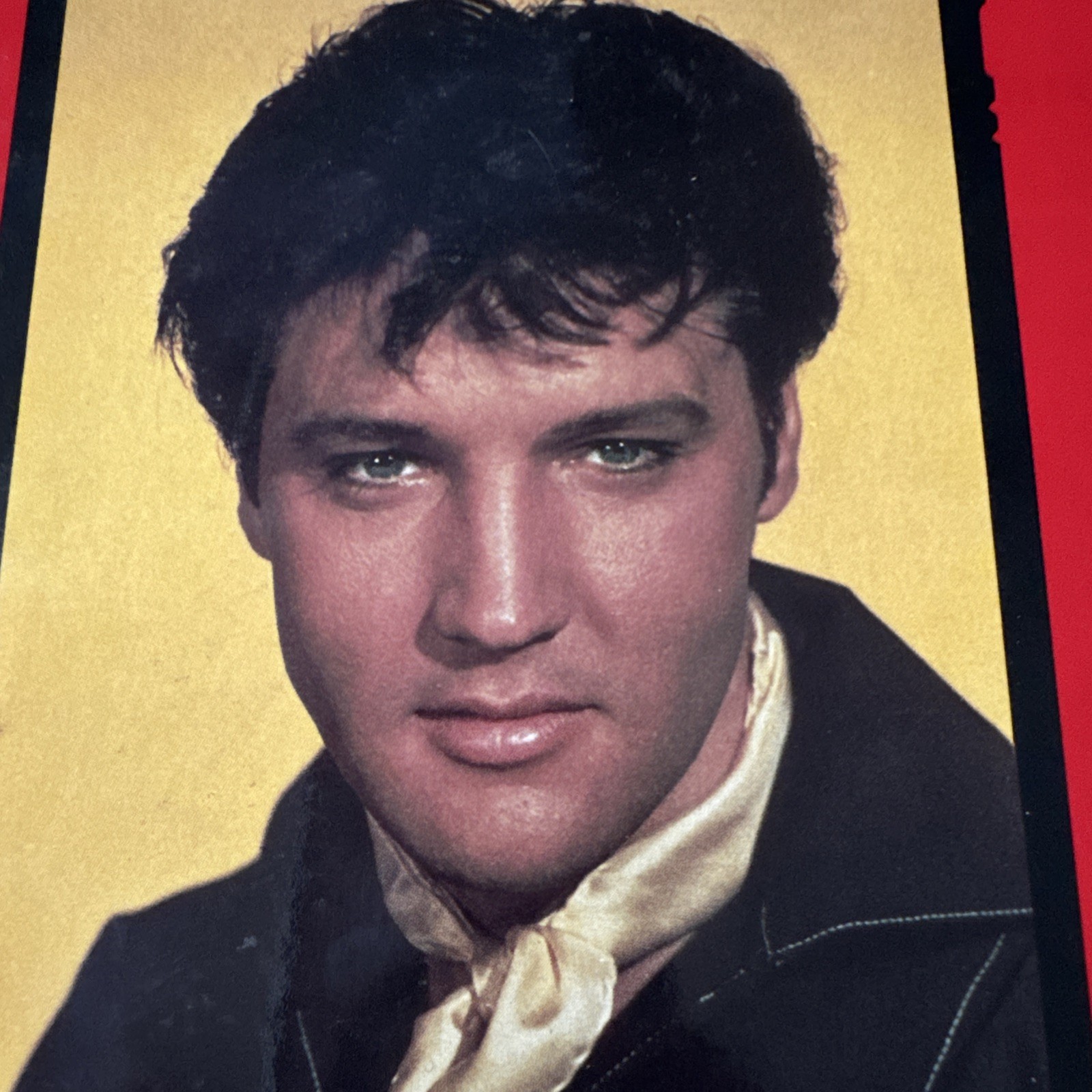 „Elvis His Life From A to Z“ Hardcover 620 pages By Fred Worth Steve Tamerius