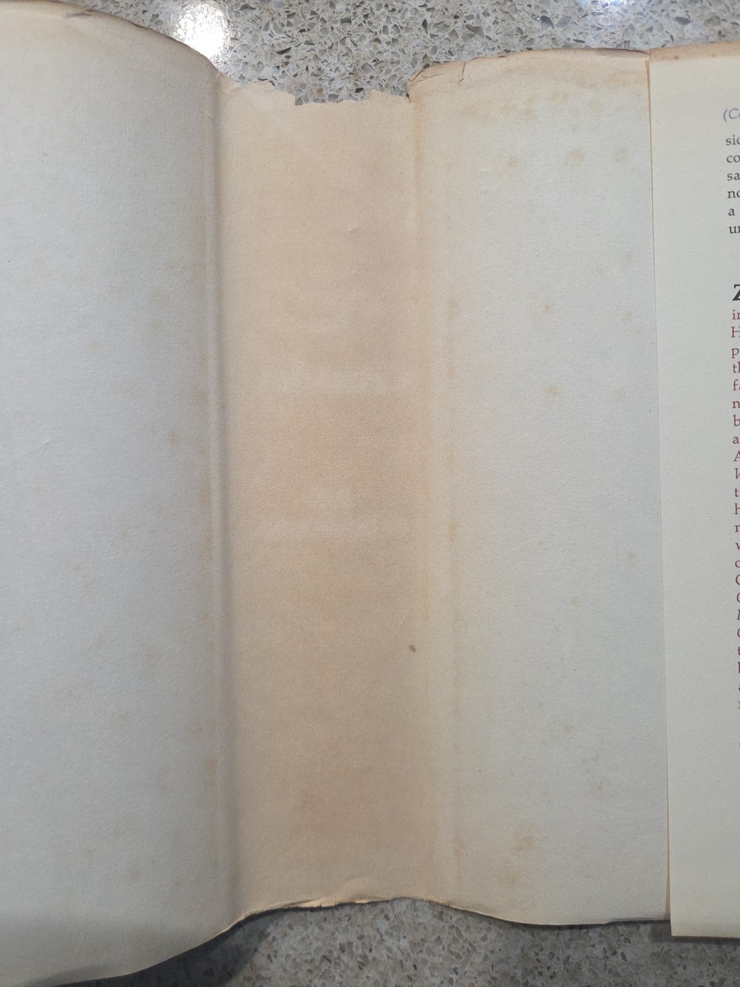 1st Printing Of The Crusades By Zoe Oldenbourg