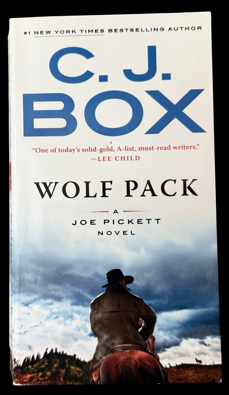10 PB Bundle: Ten Joe Pickett Novels by C. J. Box 2003-2019 Putnam