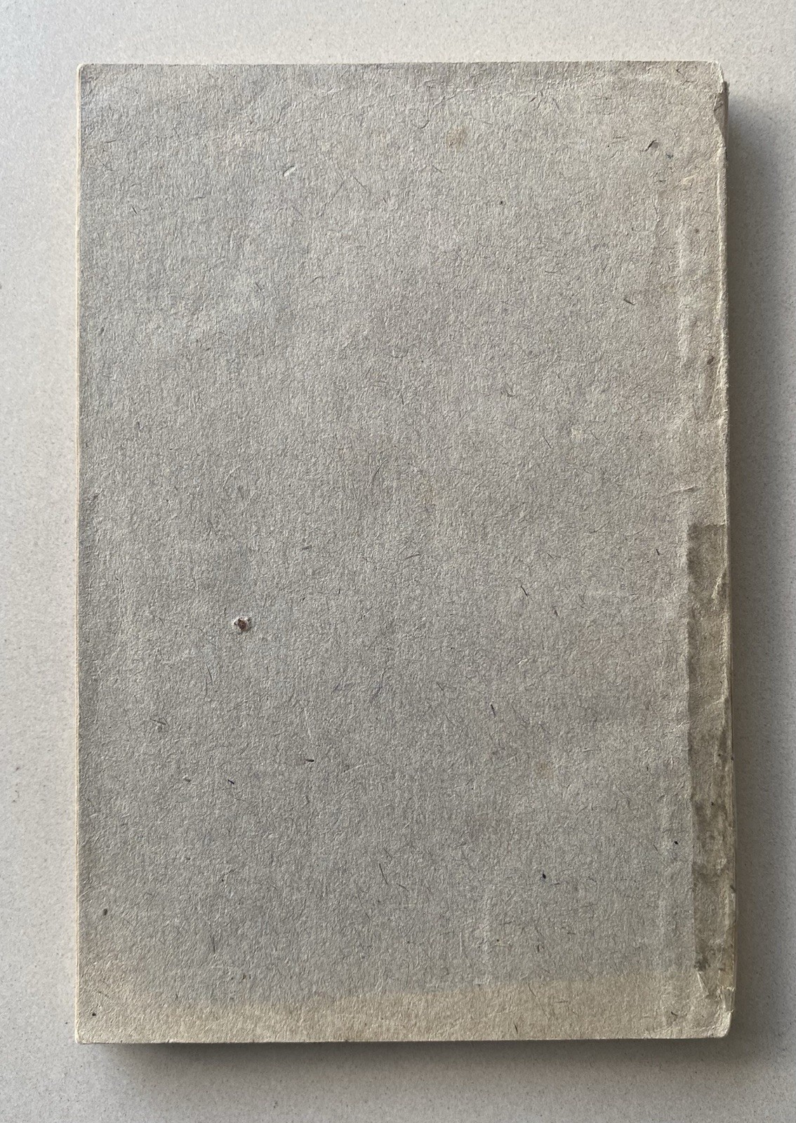 Vergil Aenid VI – T. E. Page – 1917 Latin / English Text PB – Antique Literature