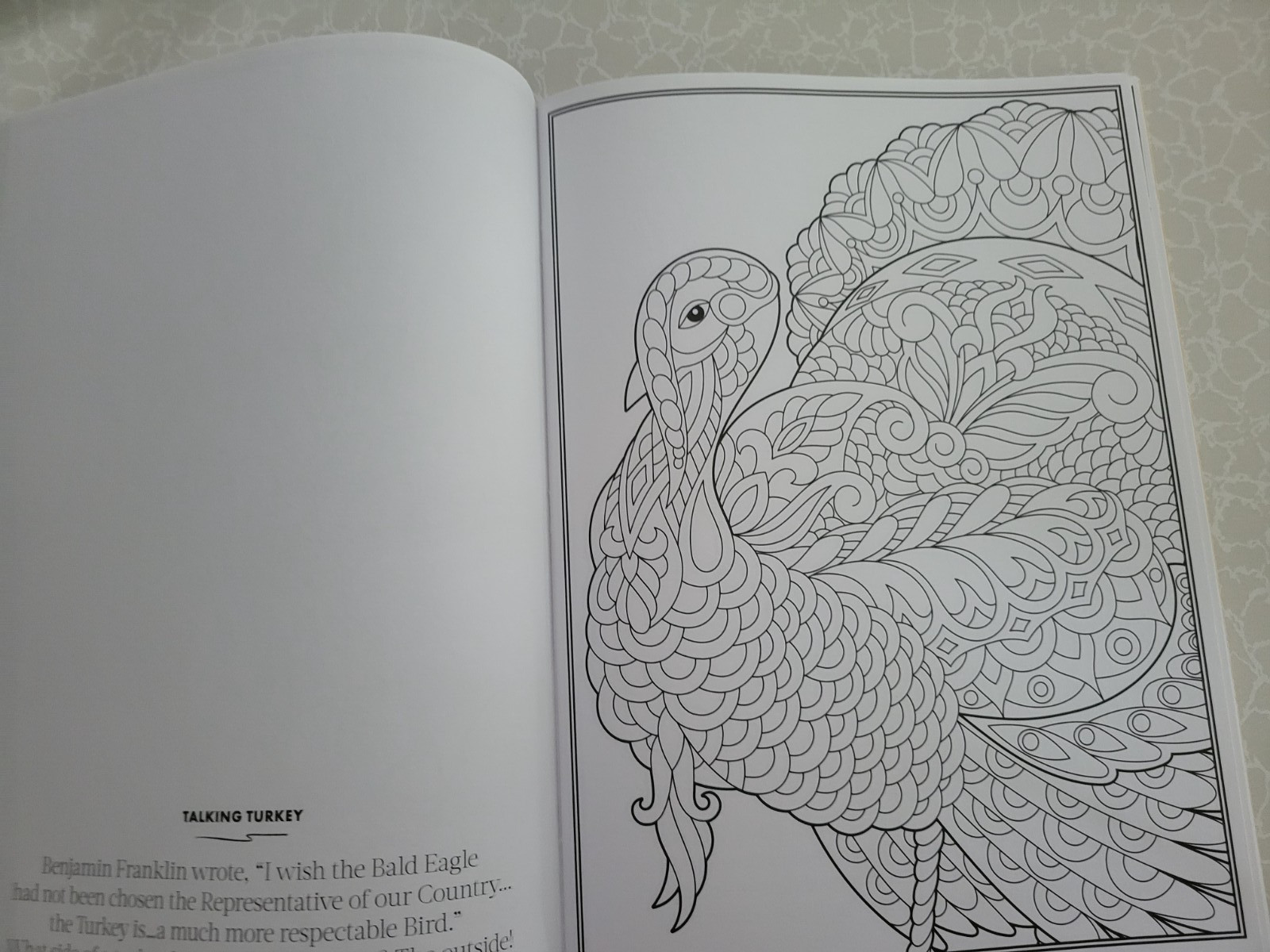 THANKSGIVING ADULT COLORING BOOK – 2022 CENTENNIAL – 32 FESTIVE COLORING PAGES