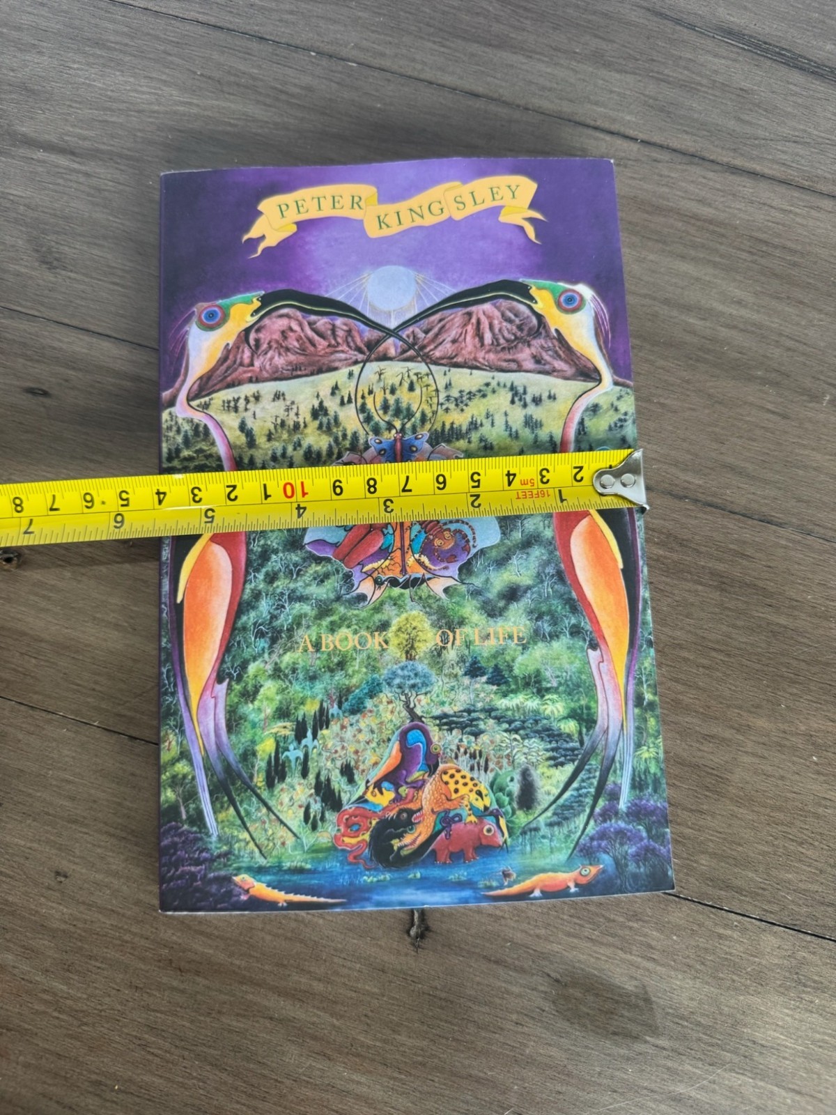 A Book Of Life By Peter Kingsley Paperback 2021 8.25×5.5 Inches