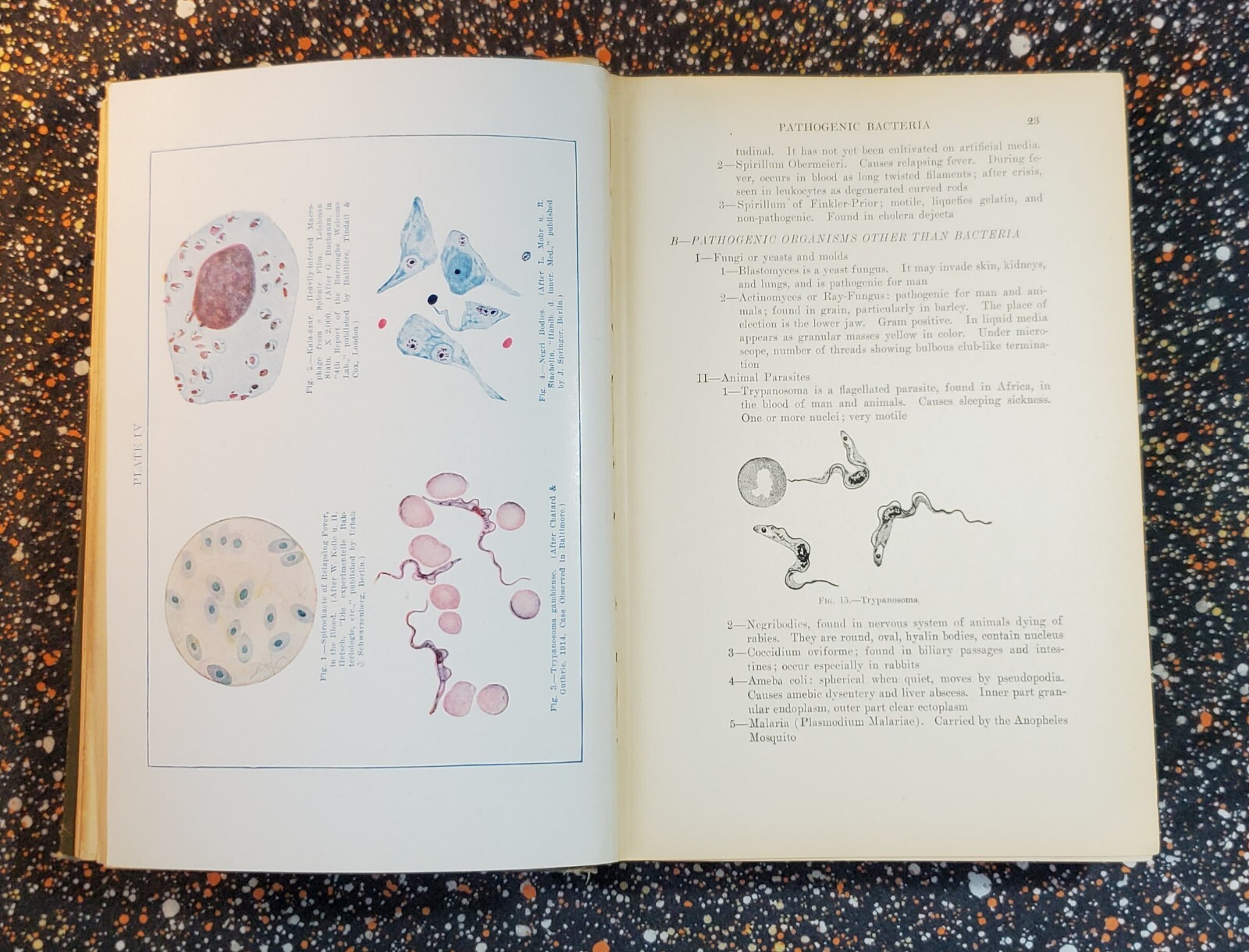 Medicine And The Allied Sciences, Samuel Fomon, Volume 1, 1919, Hardcover