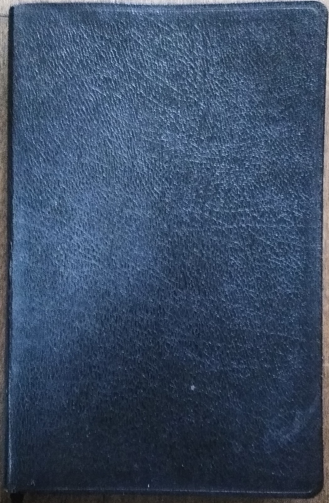 NIV Thinline Bible by Zondervan Staff (2005, Leather)