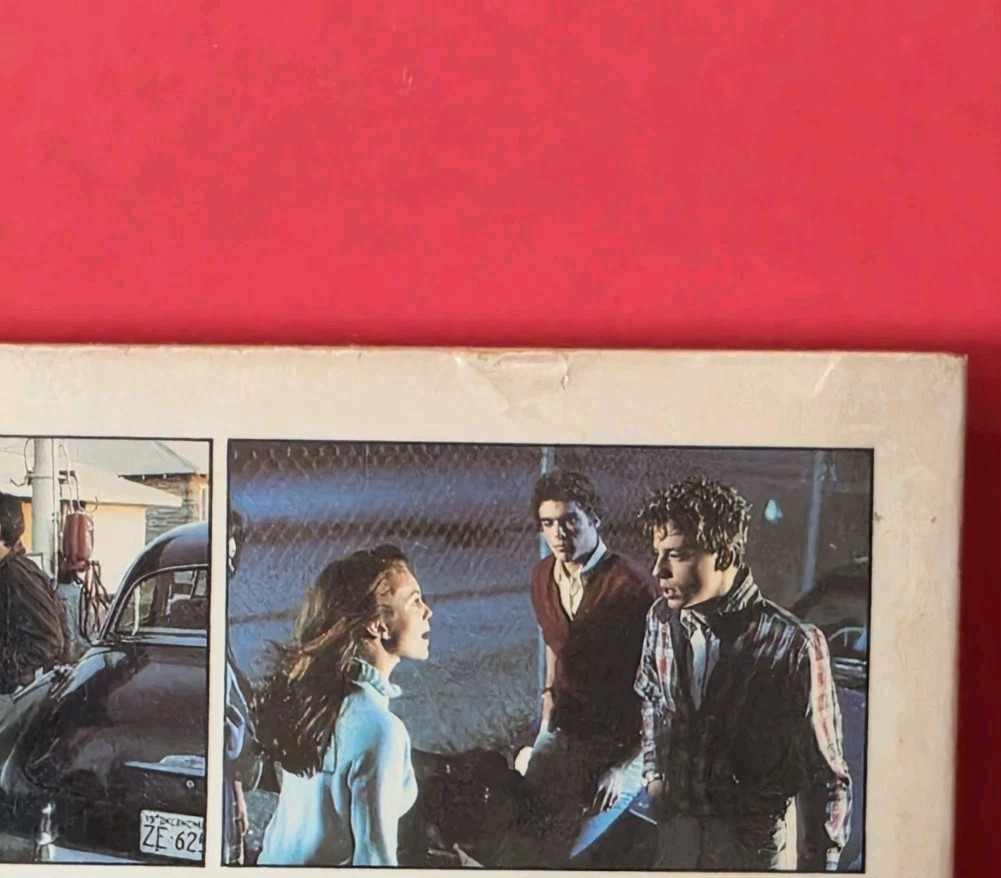 Nice Copy – The Outsiders S.E Hinton Movie Tie-In 1982 Laurel Leaf PB – Coppola