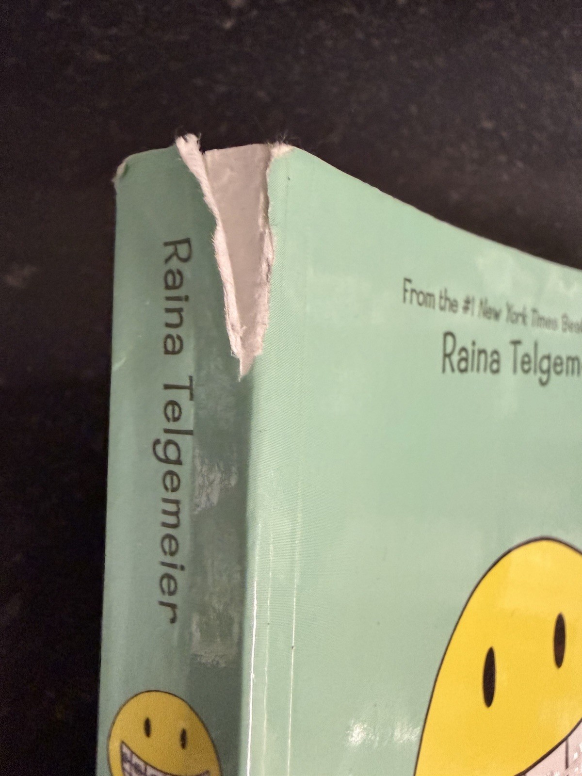 Raina Telgemeier 5 Book Lot Smile Sisters Guts Drama Ghosts Graphic Novels