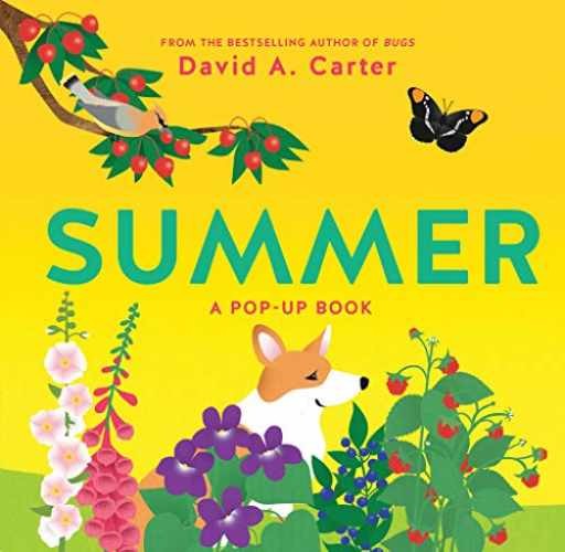 Summer: A Pop-Up Book (Seasons – Paperback, by Carter David A. – Very Good