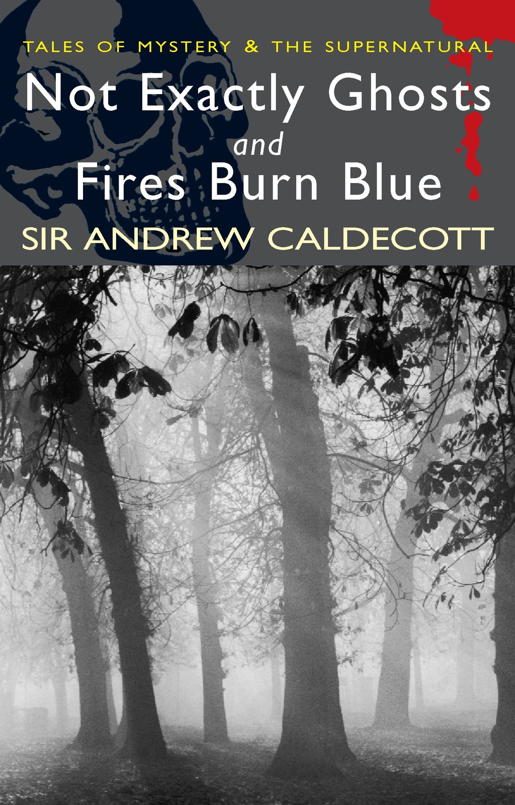 Not Exactly Ghosts/Fires Burn Blue (Tales of Mystery & the Supernatural)