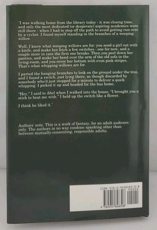Spanking Writers by Not Available (2008, Hardcover)