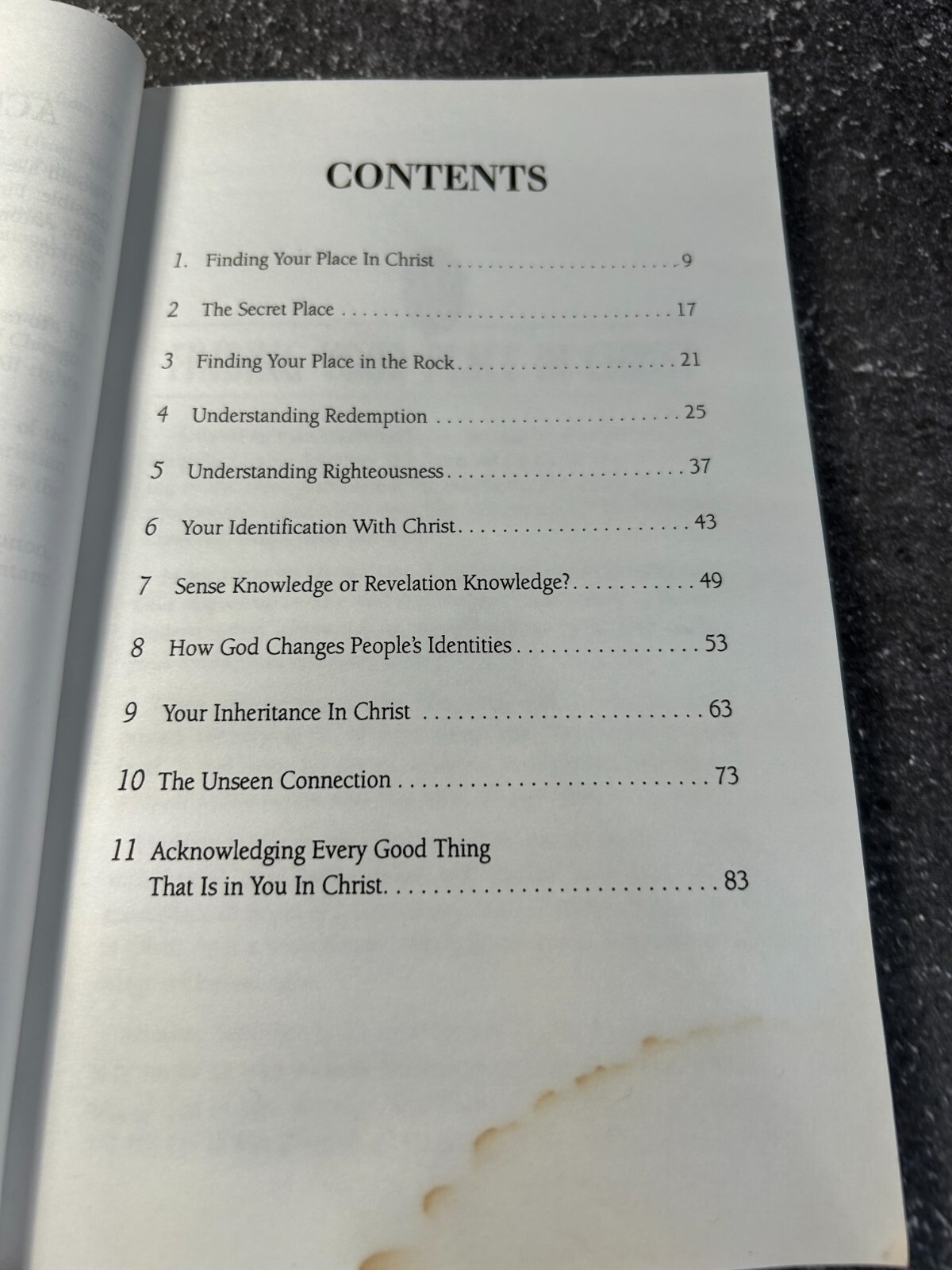 Taking Your Place in Christ by Mark Hankins