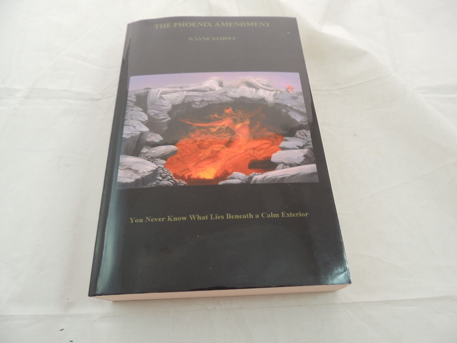 The Phoenix Amendment: The Balance of Power Series Wayne Sampey