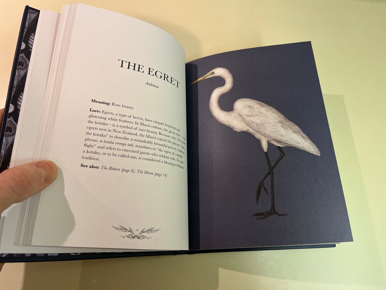 Ornithography Illustrated Guide to Bird Lore & Symbolism, Jessica Roux Hardcover
