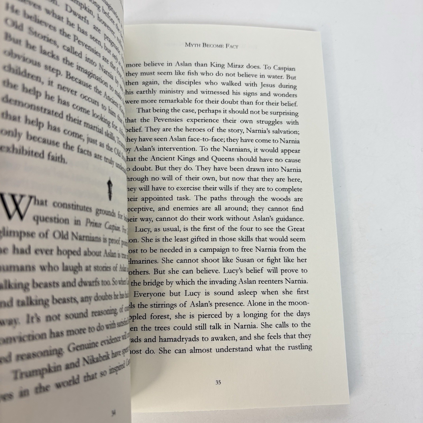The World According to Narnia by Jonathan Rogers (2014) TPB Ex-Library Copy 1L