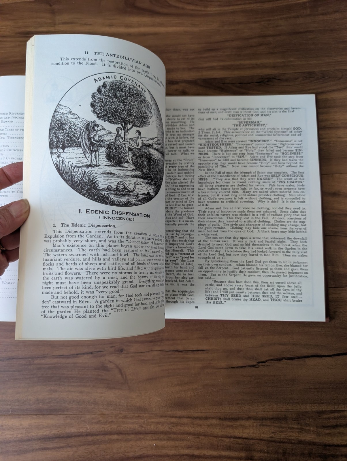 Vintage: Dispensational Truth or God’s Plan and Purpose Clarence Larkin HC