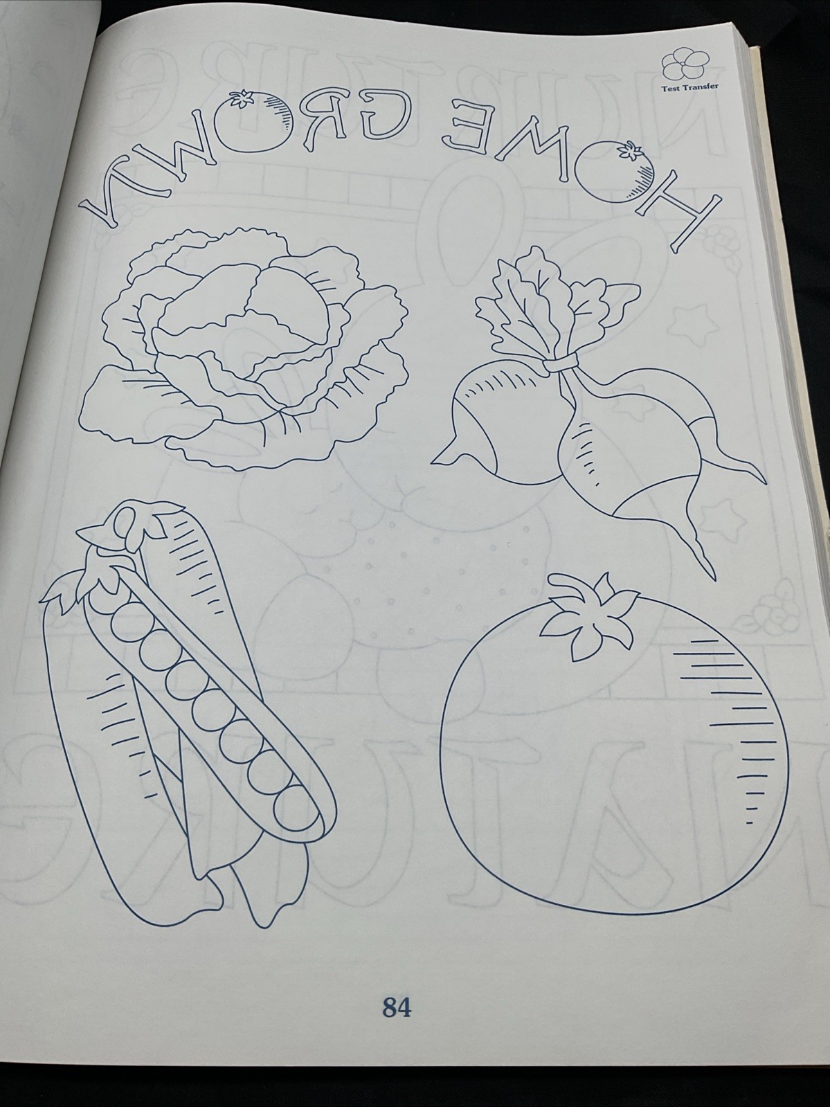 Anything But Ordinary Iron On Transfers Leisure Arts Craft Leaflets 1995 90s