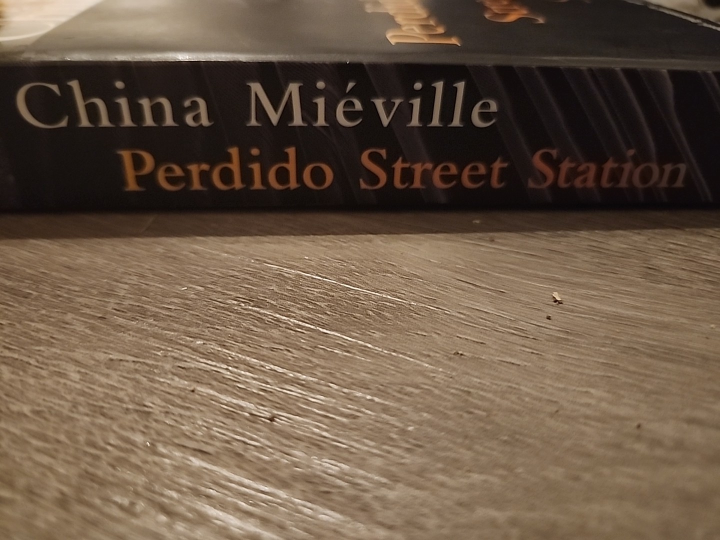 Perdido Street Station by China Miéville (2001, Trade Paperback)