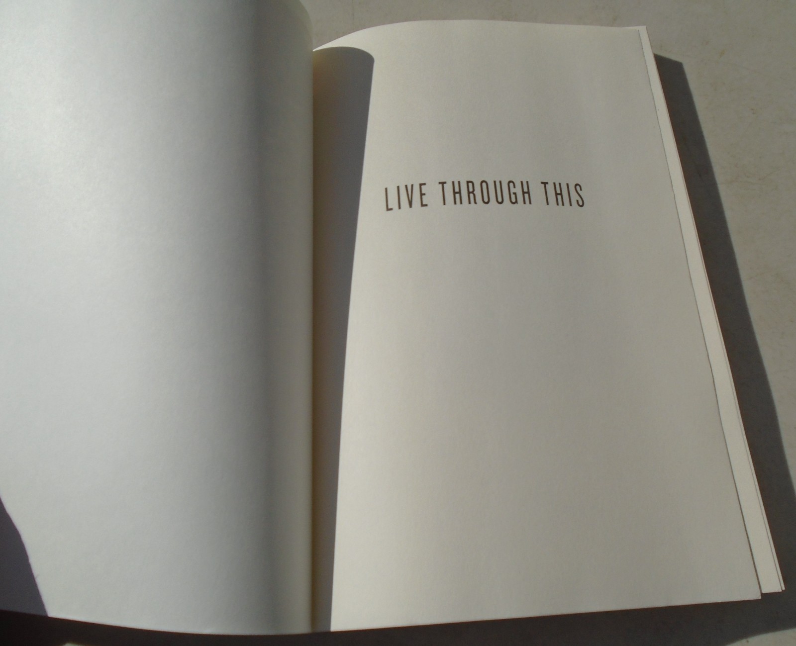 Live Through This: Surviving the Intersections of Sexuality, God, and Race