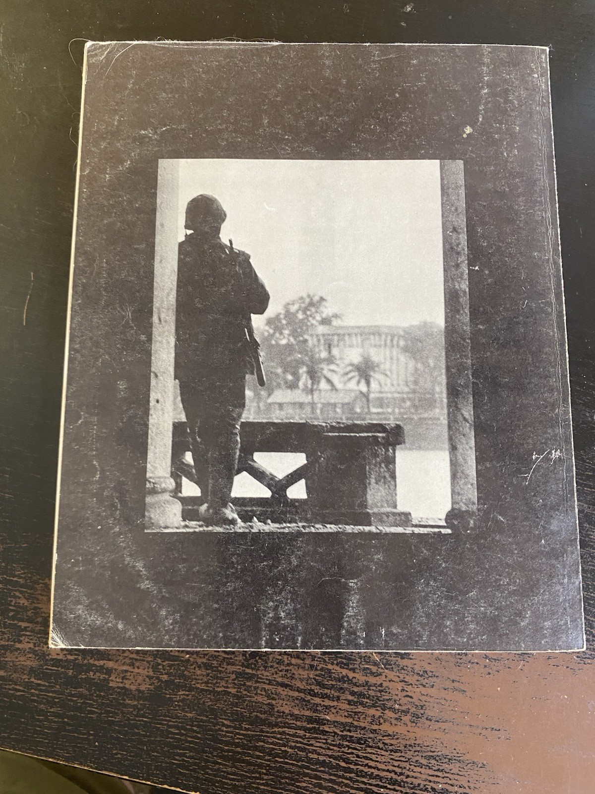 AMBASSADORS IN GREEN by Tom Bartlett USMC Vietnam CA Platoon 1971 1st Printing