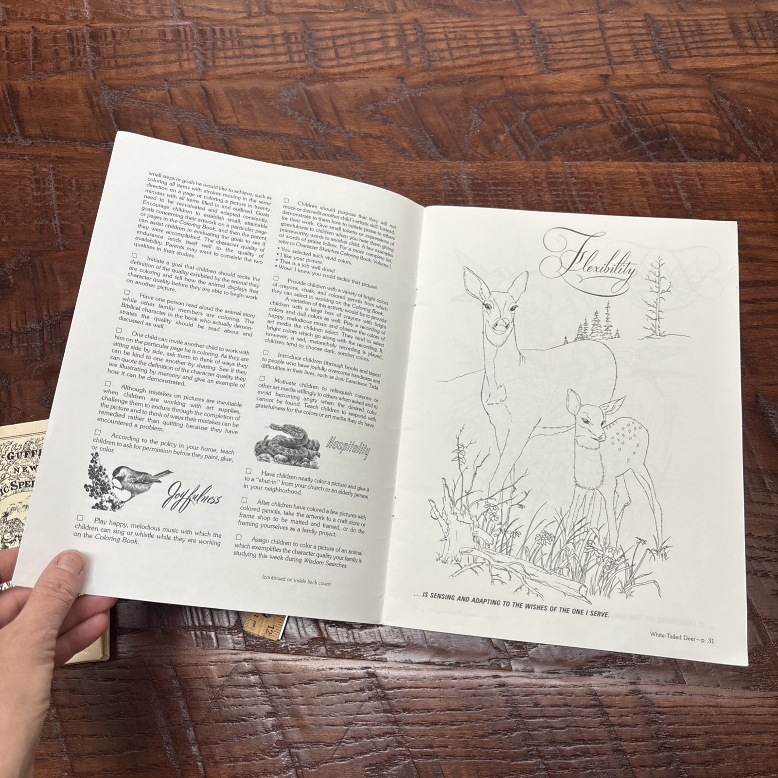 Character Sketches Coloring Book From the Pages of Scripture, Volume II unused