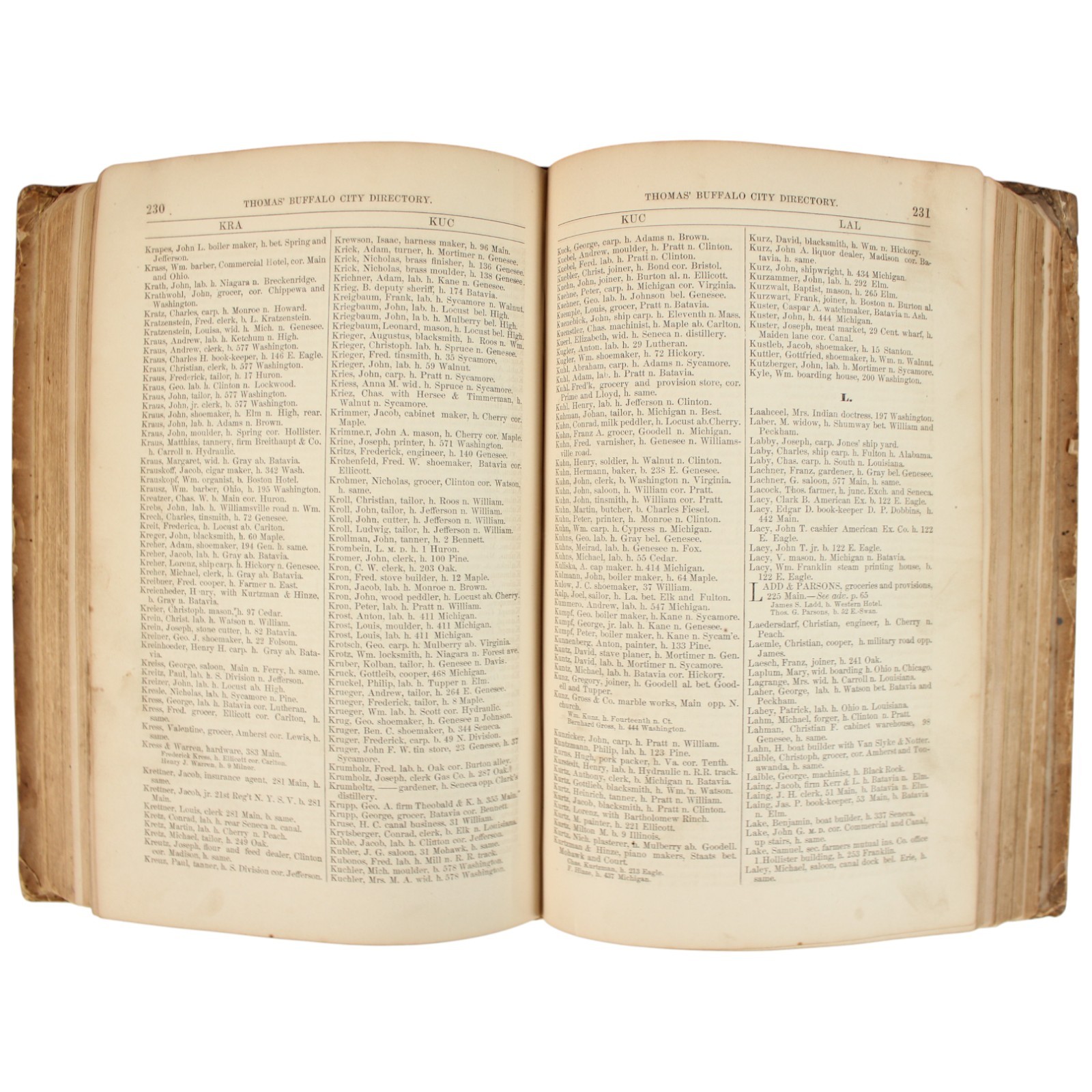 1862 CIVIL WAR BUFFALO Directory Underground Railroad GROVER CLEVELAND Fillmore