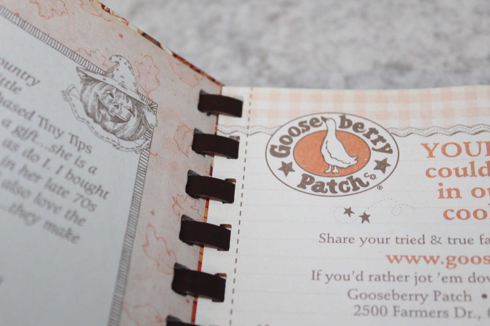 Goose Berry Patch The Harvest Table Cook Book 2012 221 pages Hardcover Spiral
