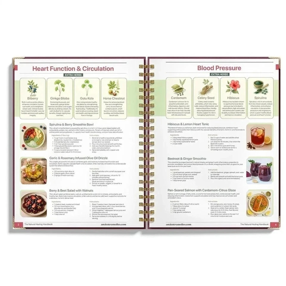 The Natural Healing Handbook, Spiral-Bound Guide For Herbal Remedies And Natural