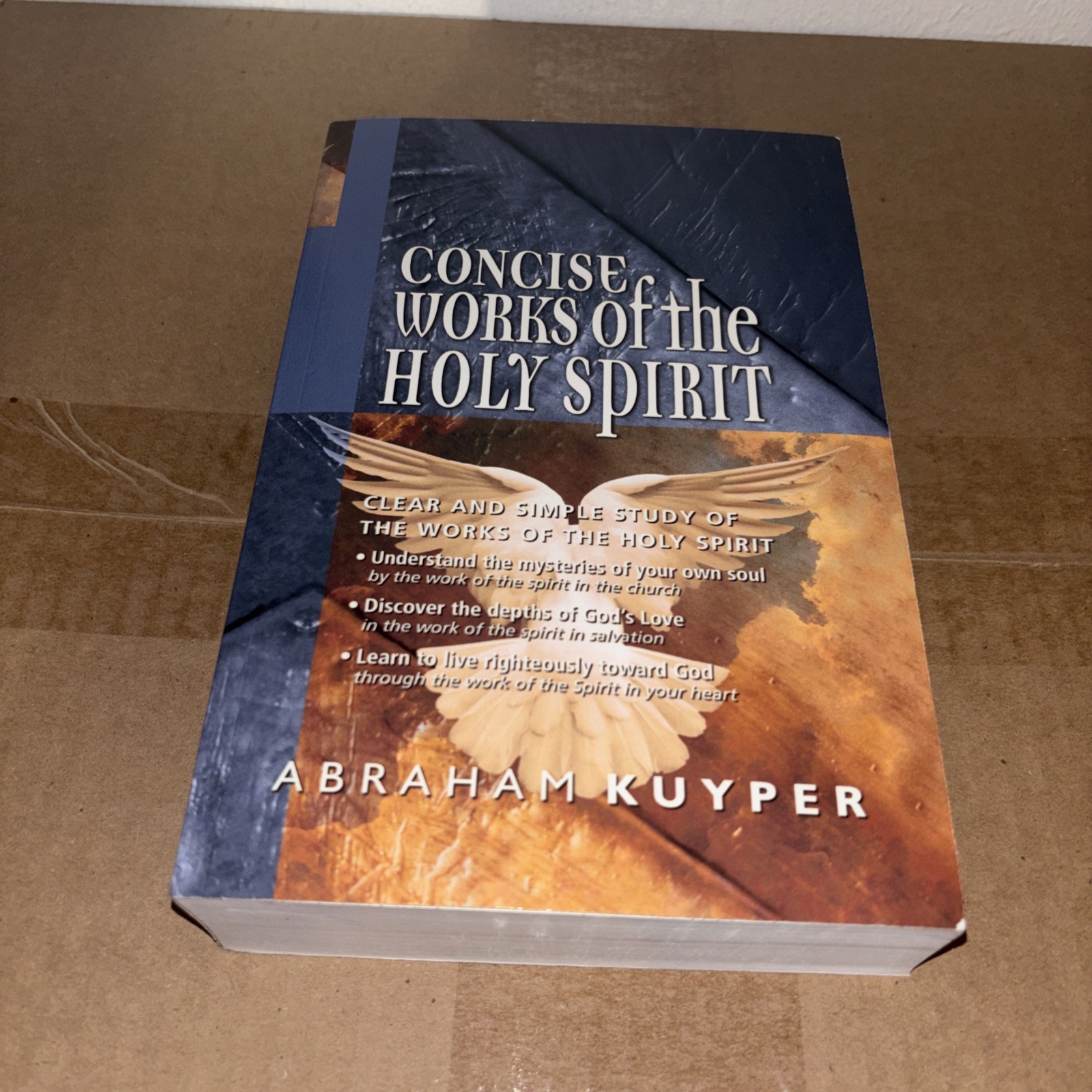 Concise Works of The Holy Spirit AMG Publishers Abraham Kuyper HC Book 2009