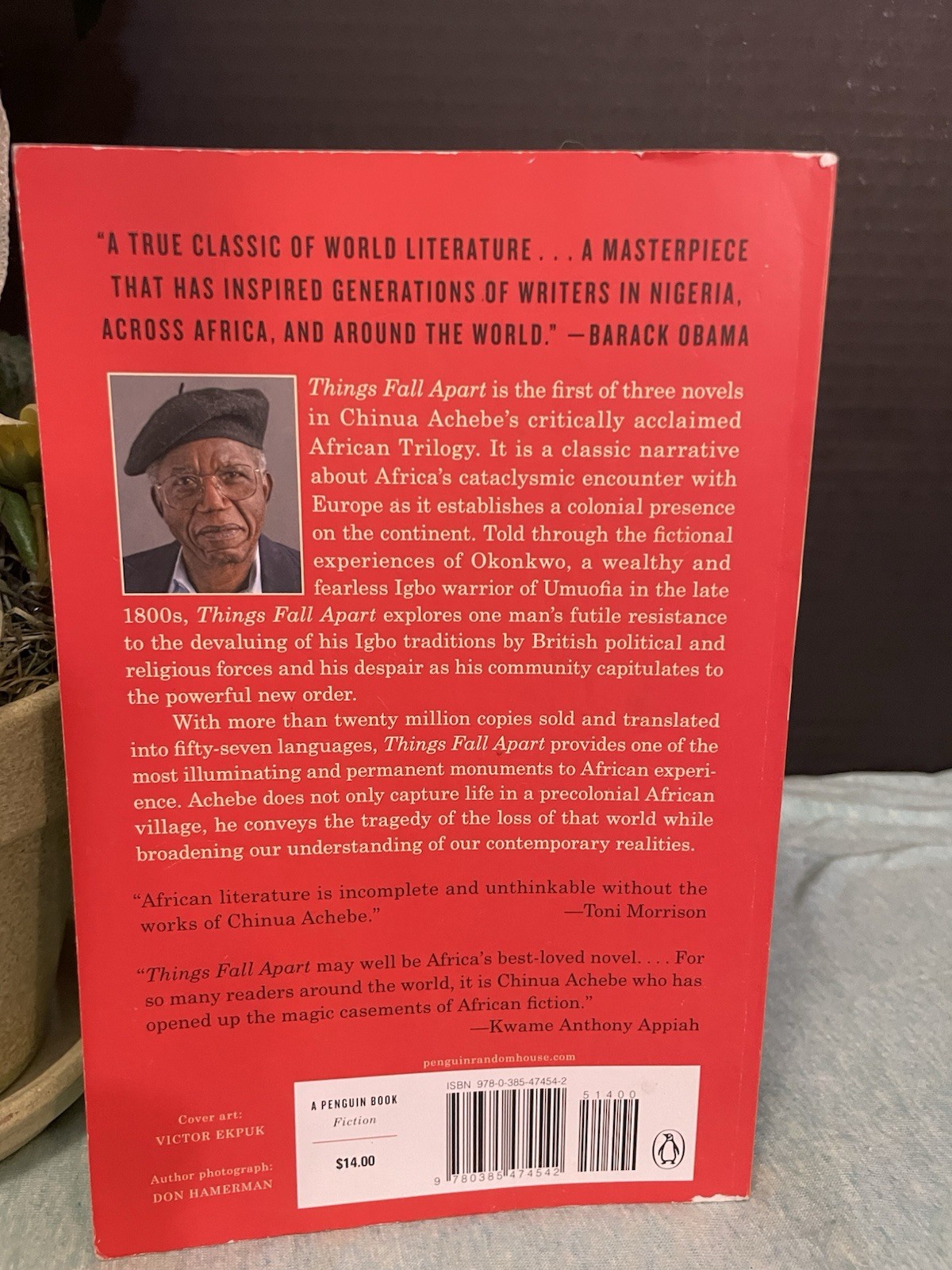 Chinua Achebe Things Fall Apart