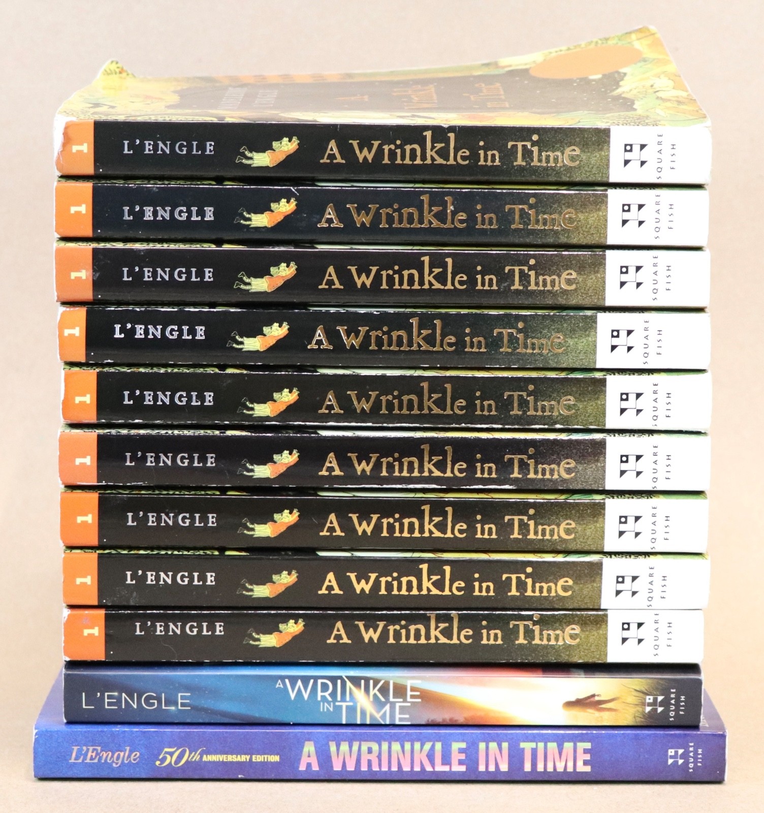 Lot of 11 A Wrinkle In Time by Madeleine L’Engle GUIDED READING Teachers Set