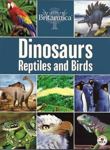 Dinosaurs Reptiles and Birds Encyclopaedia – Paperback, by N/a – Very Good j