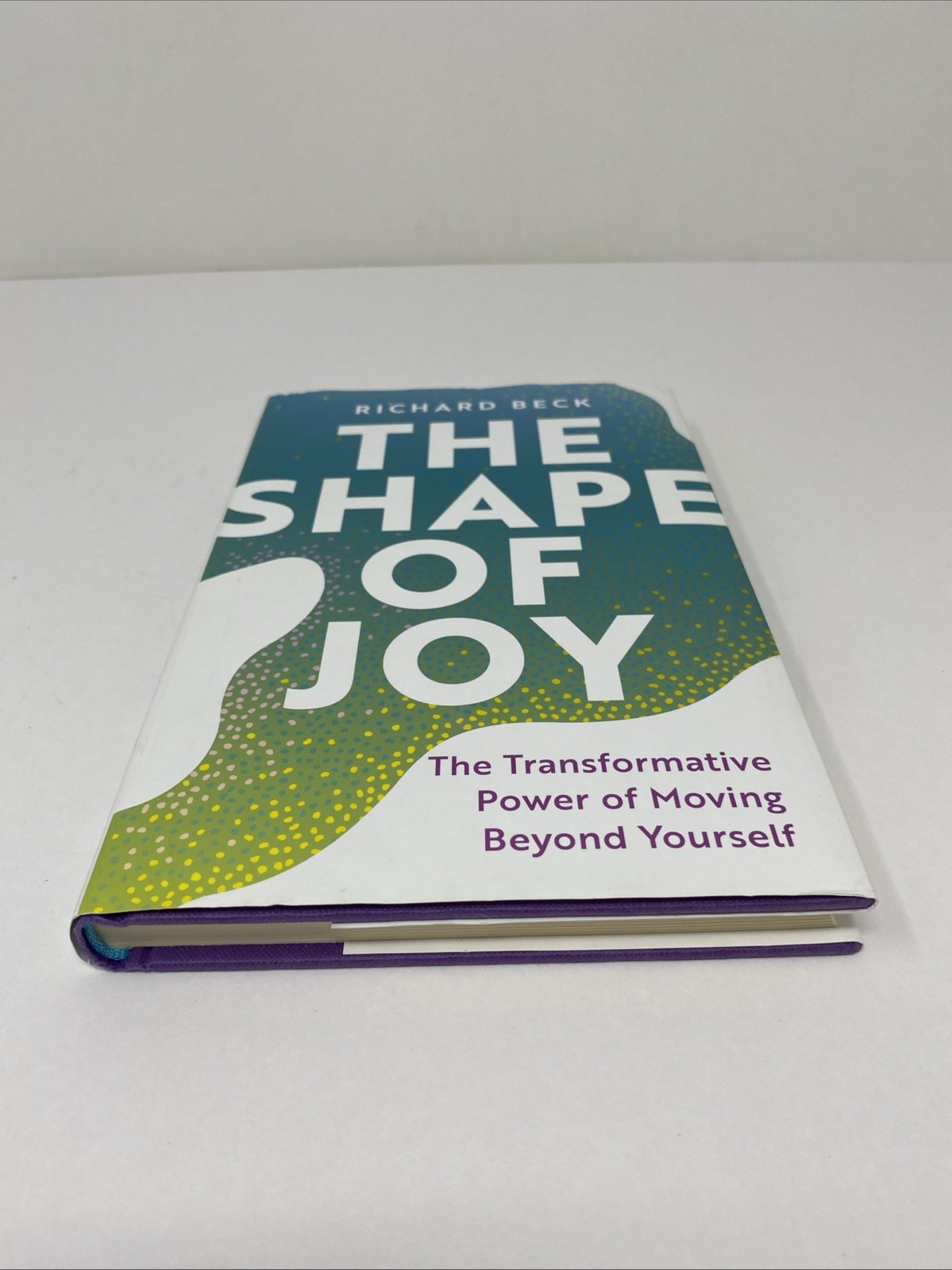 Shape of Joy Richard Beck Hardcover 2024 Spiritual Growth Broadleaf