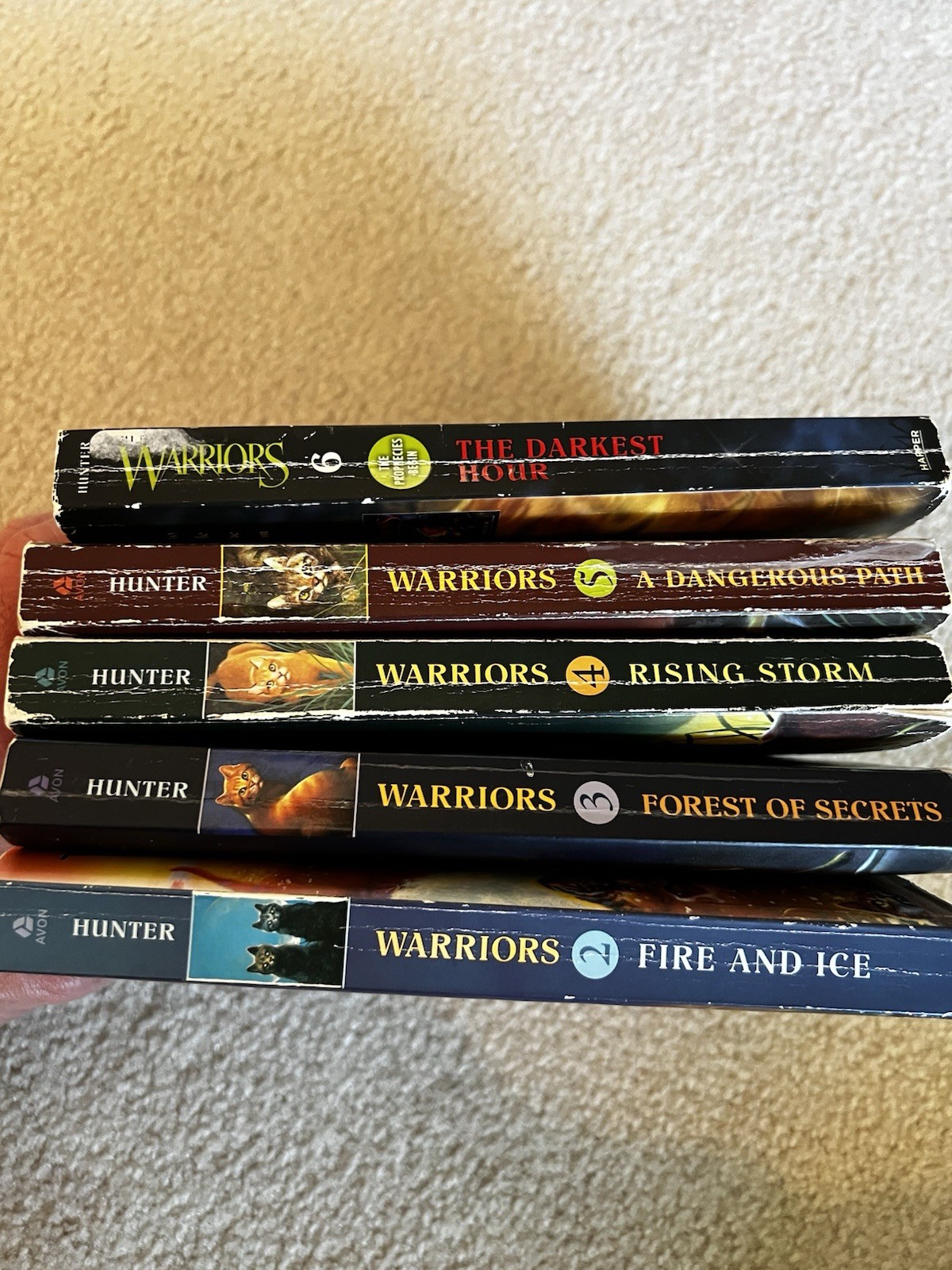 Warriors: The Prophecies Begin Books 2-6 by Erin Hunter Incomplete set lot