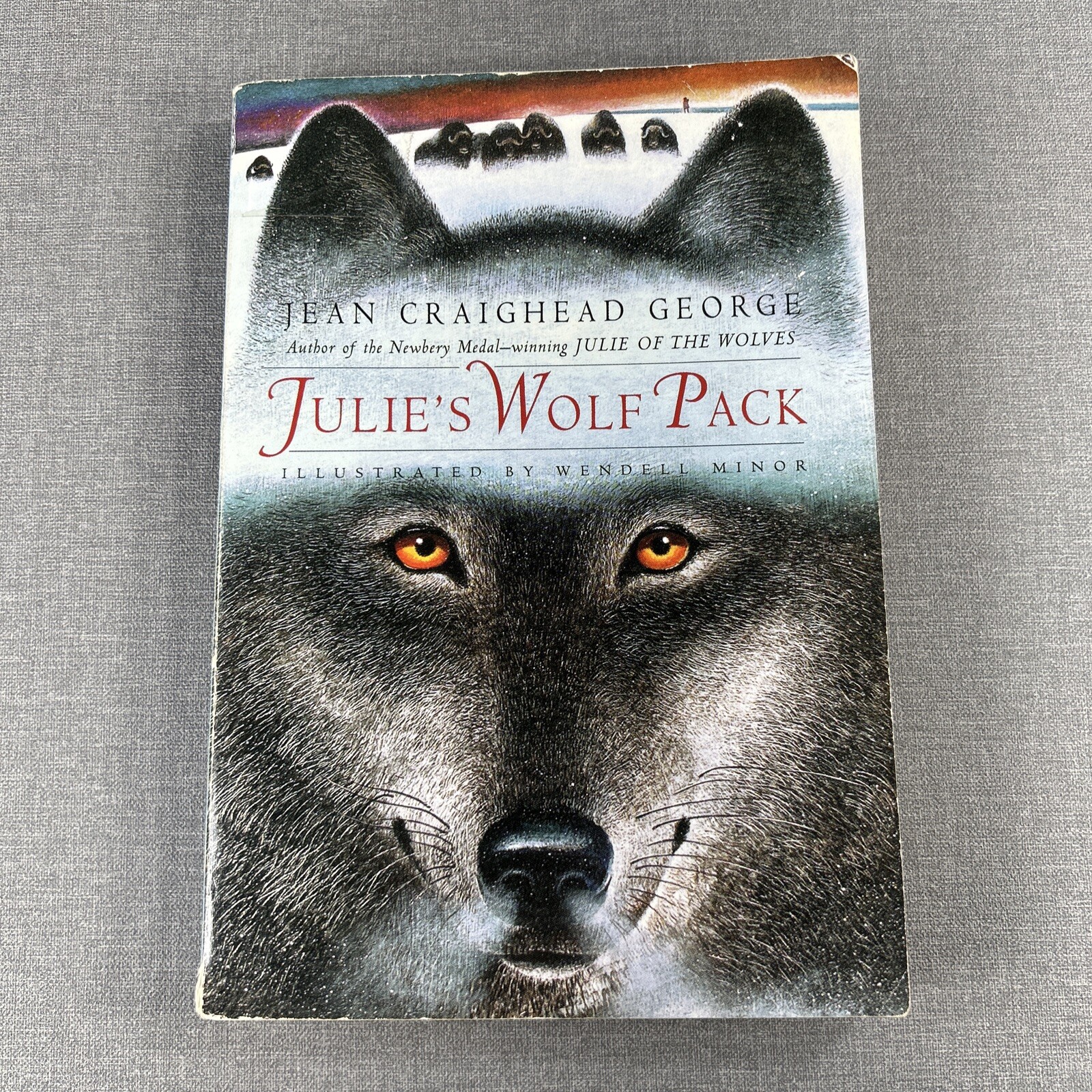 My Side of the Mountain & Julie’s Wolf Pack Jean Craighead George 2 Book Lot
