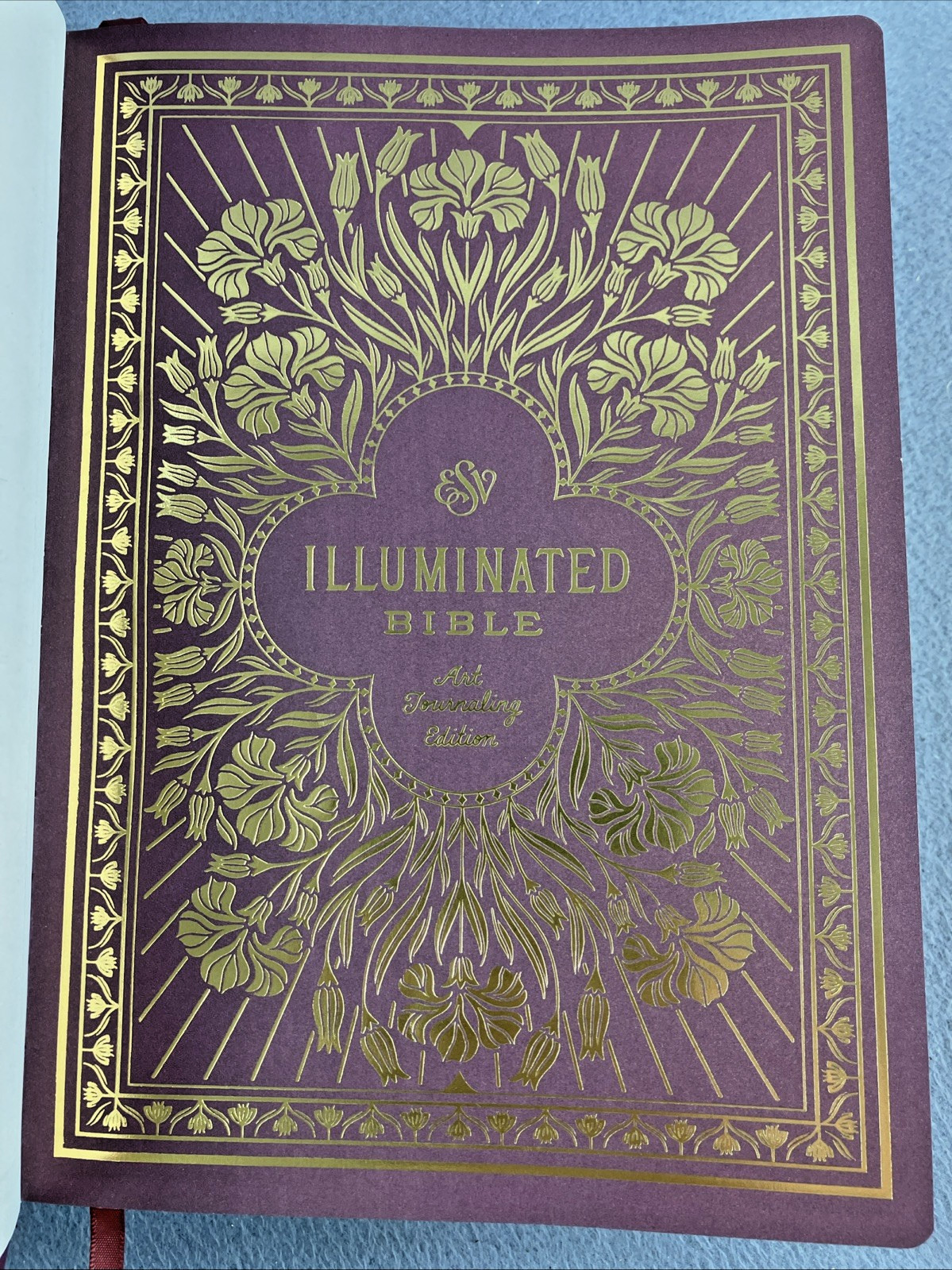 The Daily Grace Co Illuminated ESV Bible Art Journaling Softcover With Box