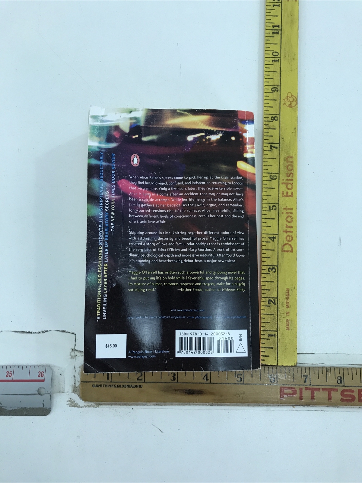 After You’d Gone – Maggie O’Farrell (Paperback, 2002)