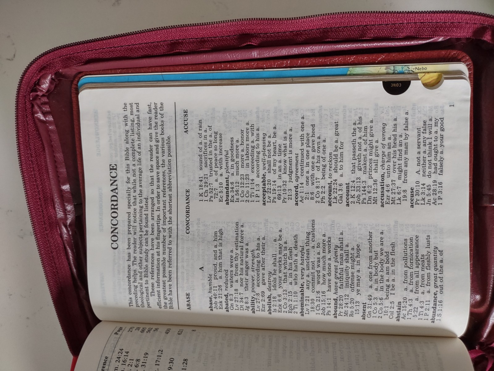 Giant Print KJV Bible Reference Ed Leather 1976 King James Thomas Nelson & COVER