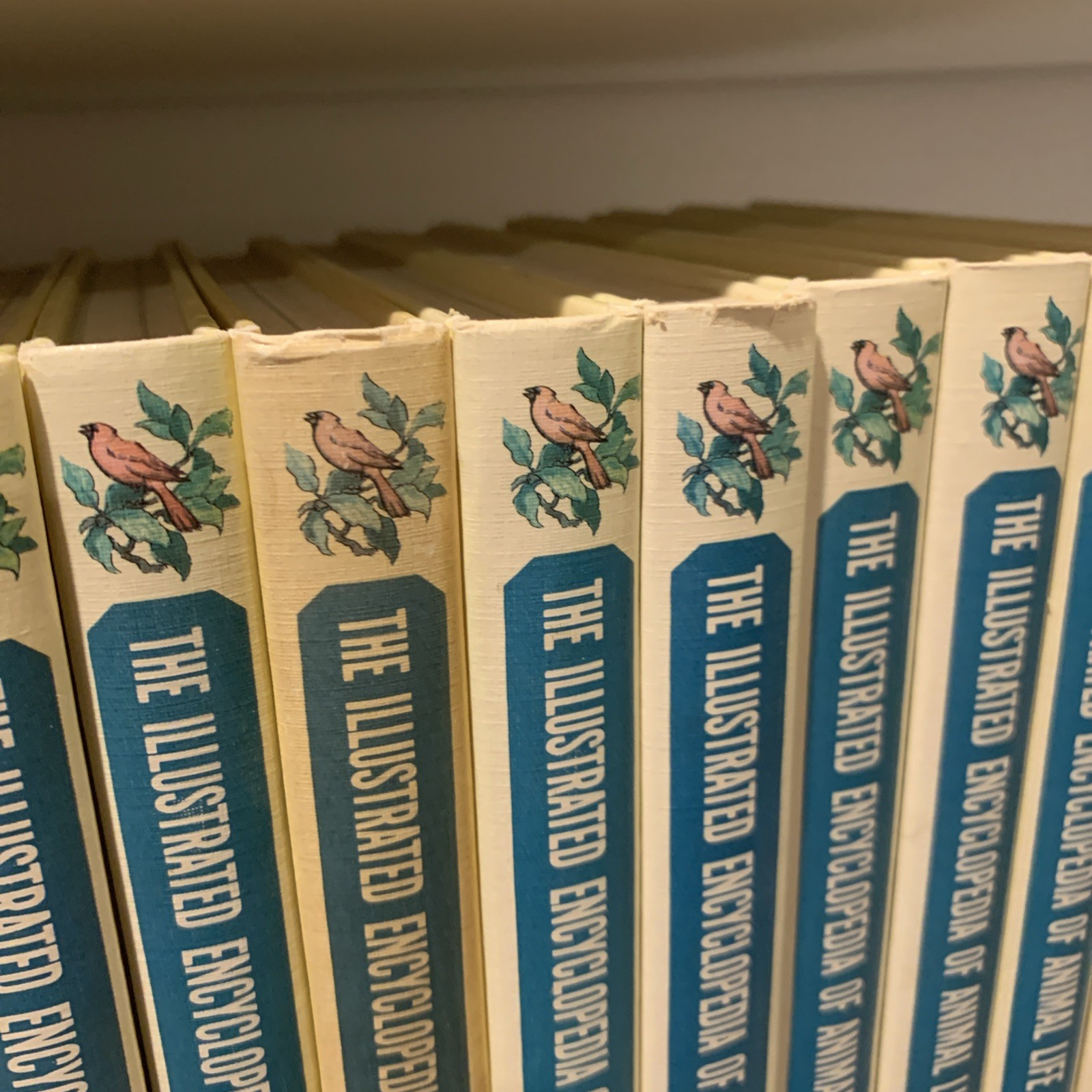 Illustrated Encyclopedia of Animal Life 16 Volume Set 1961 Greystone Press HC