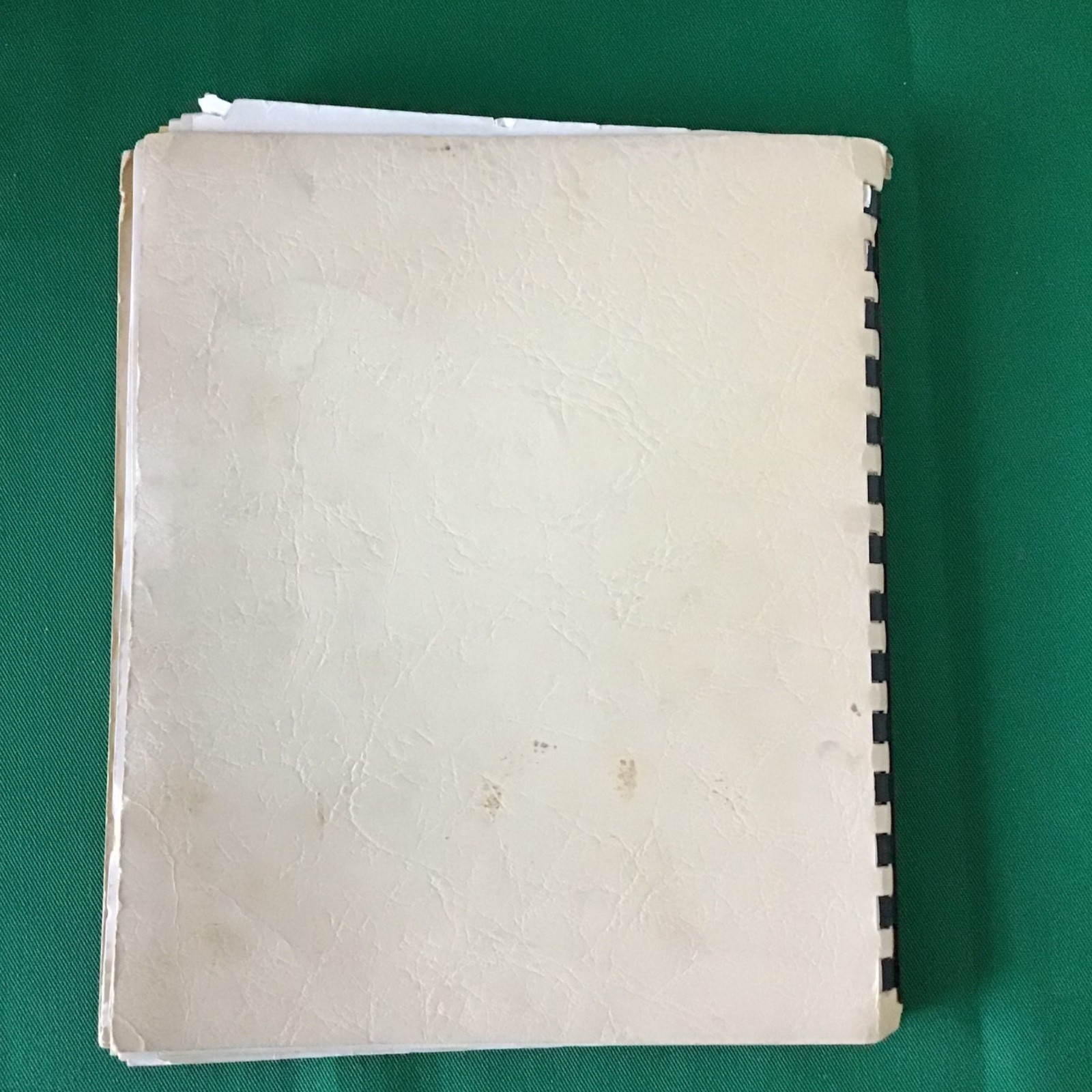 Ohio Susannah Shaum Alice Van Pelt Family Friends Vintage 1960s Spiral Cookbook