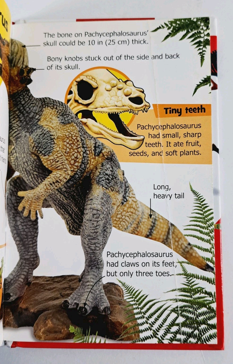 Dinos & Weather (Mini Encyclopedias) – Hardcover By Phillips, Sarah – GOOD