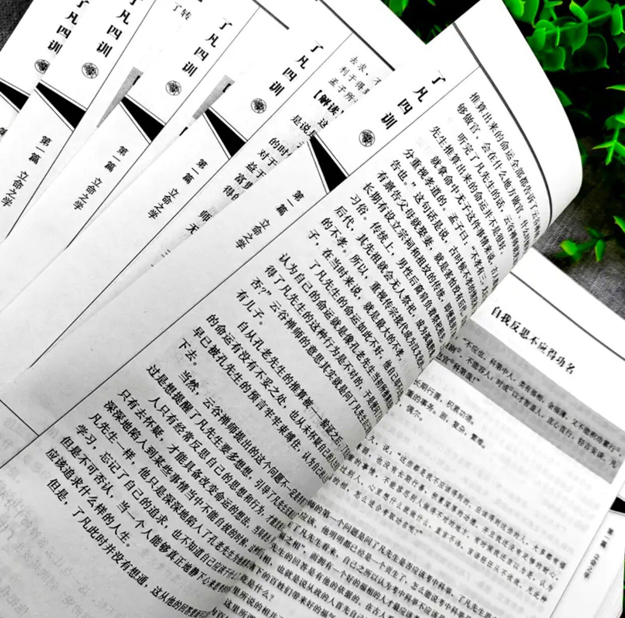 了凡四训 袁了凡著自我修养国学哲学书籍