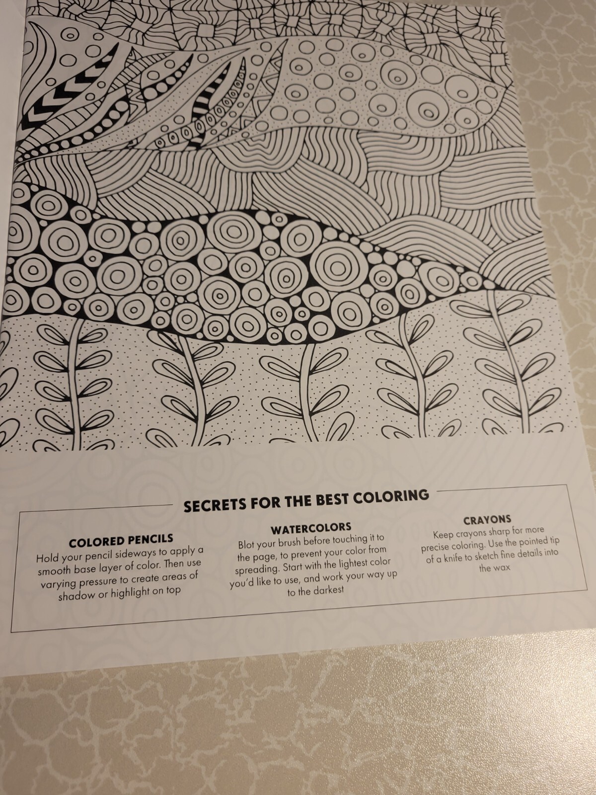 BRILLIANT ESCAPES – ADULT COLORING BOOK – 48 Pages of Fun! Coloring Tips-NEW!