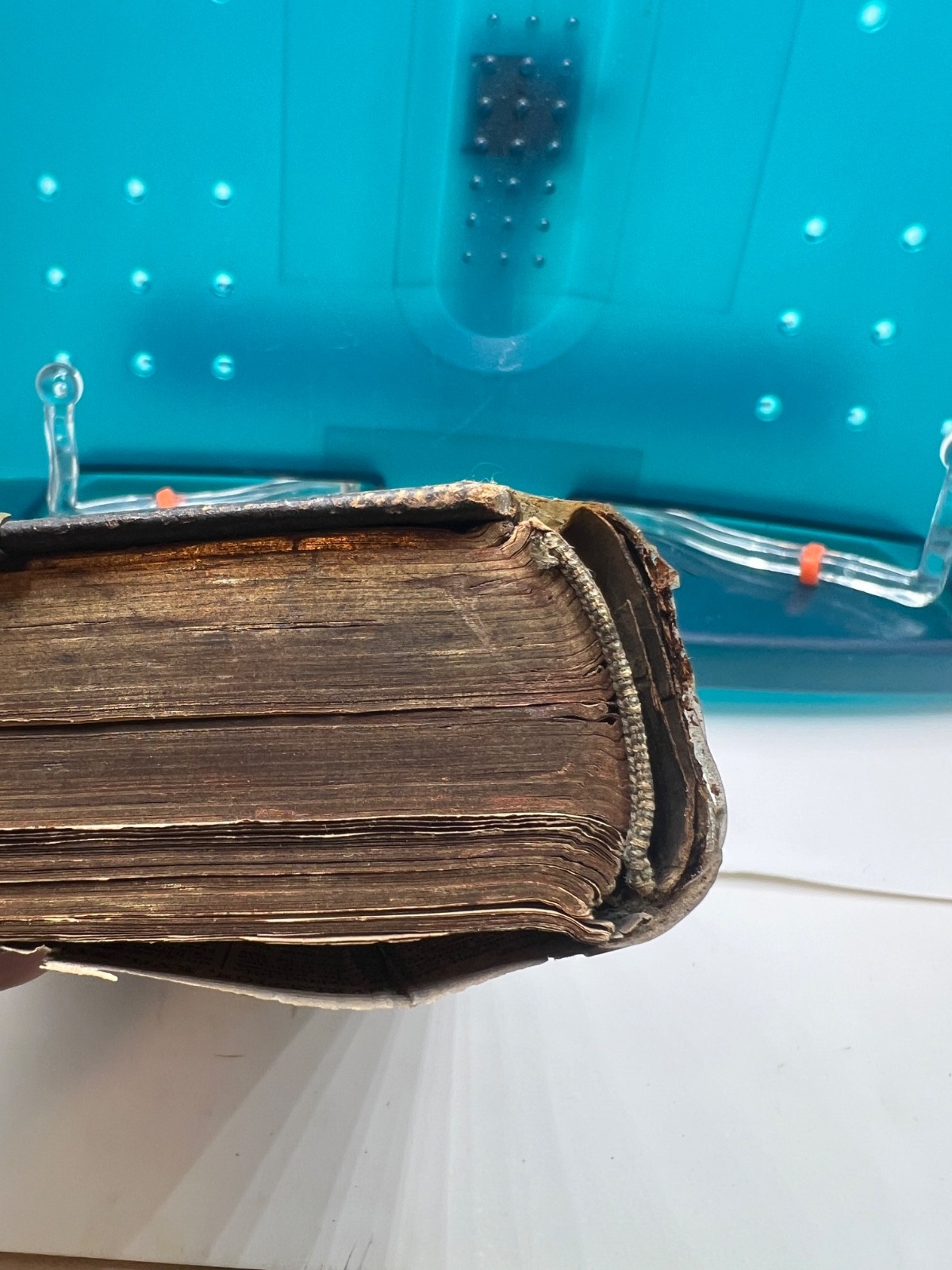 Antique Oxford University Press The Holy BibleLeather Brass Corner Plates 1800s
