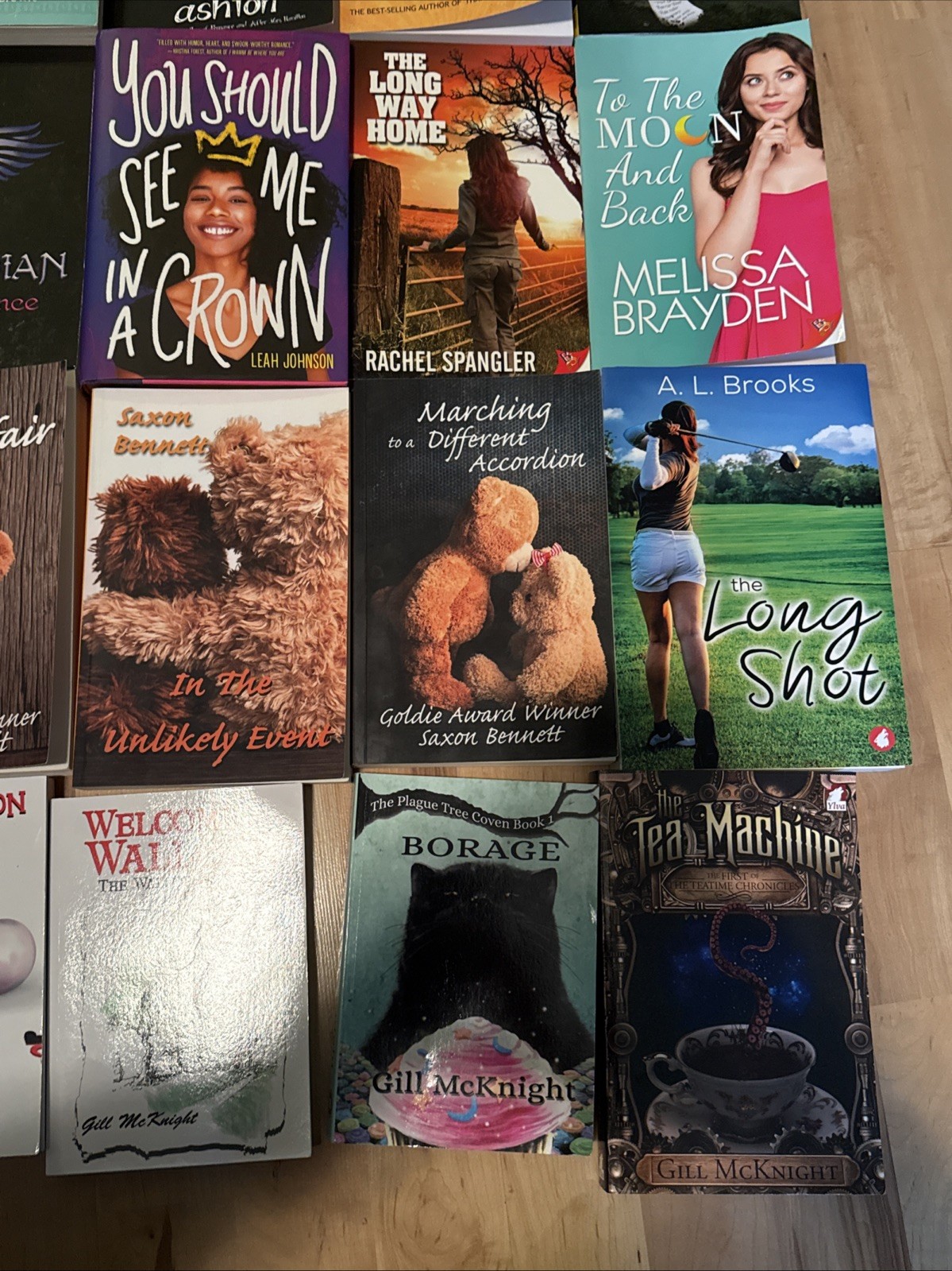 Lot of 20 Sapphic Books All In Good Condition Condition From Various Authors